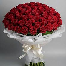Букет 101 Красная роза Блэк Мэджик в Солдатском
