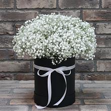 Цветочная композиция из Гипсофила в шляпной коробке #REPLACE_PRED# Солдатском