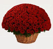 Премиум букет из: Розы в Солдатском